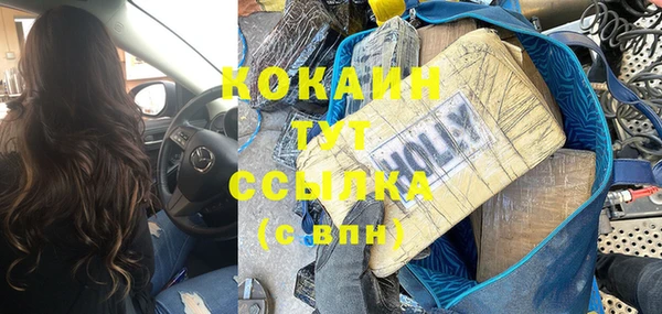стаф Аркадак