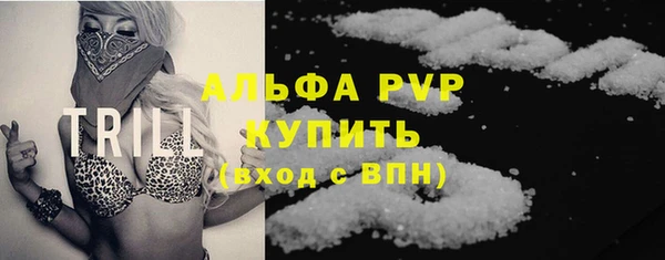 стаф Аркадак