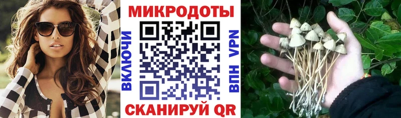 Галлюциногенные грибы прущие грибы  Бугульма 